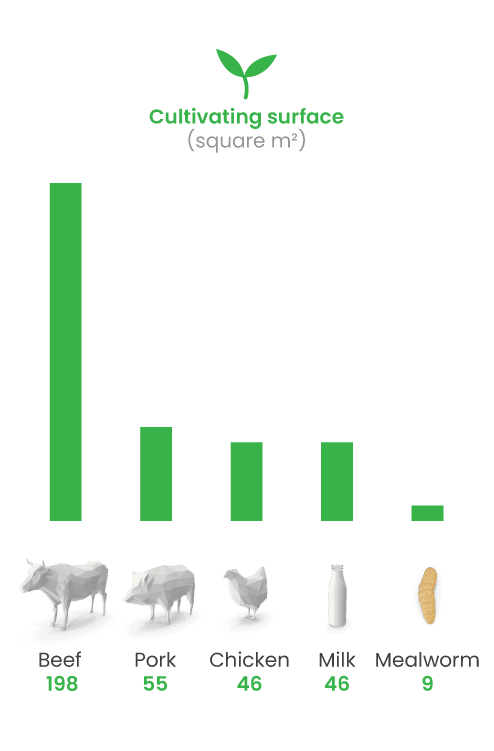 graph with animals