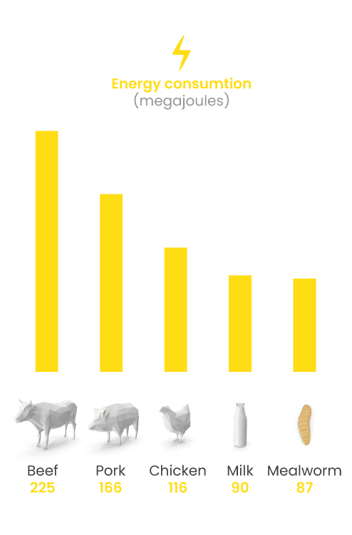 graph with animals