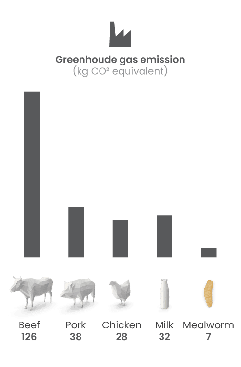 graph with animals