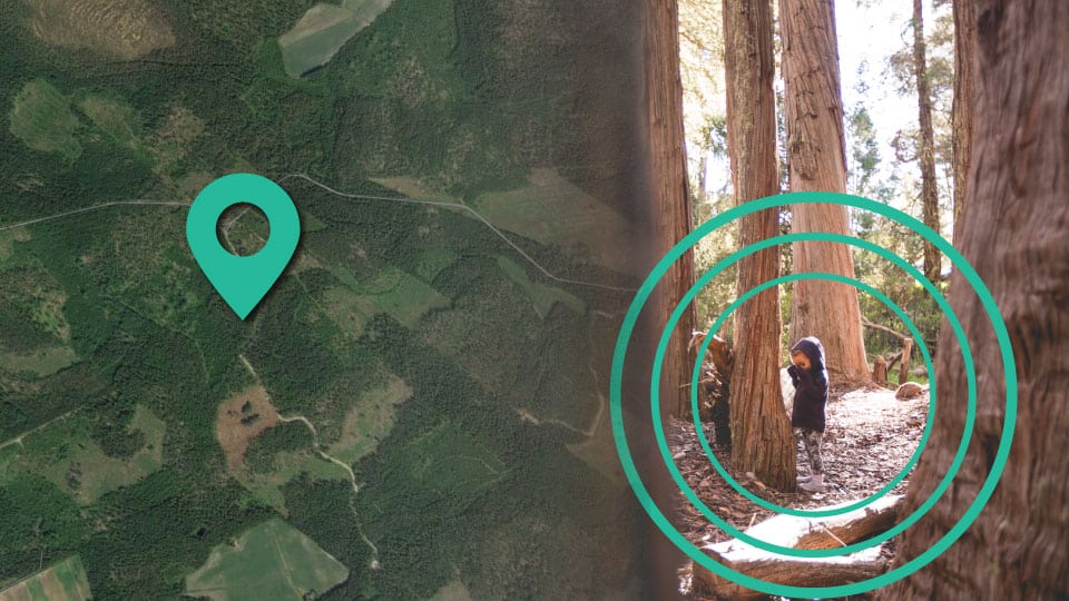 child hiding behind a tree